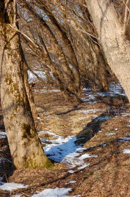 Прикрепленное изображение: 0777s.jpg